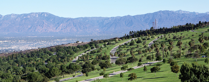 property_overview_main