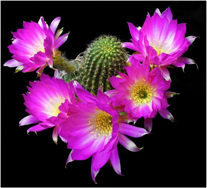 il_794xN.2697901475_fc3z